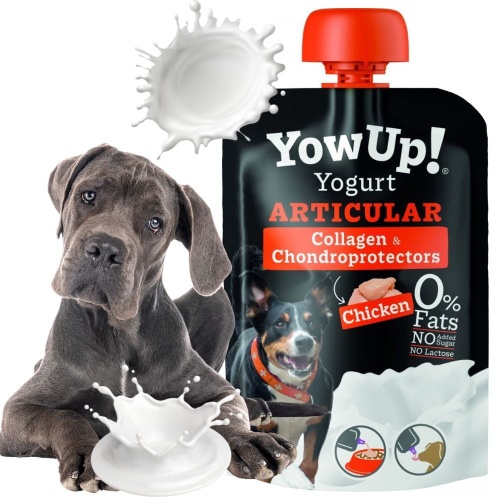 YowUp! Jogurt dla psa na ZDROWE I MOCNE STAWY