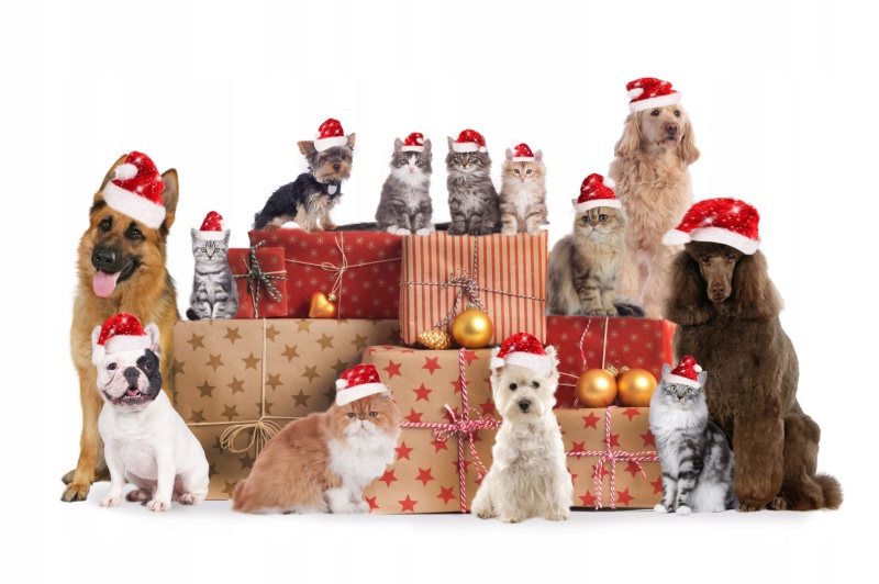 4a1488f34ae0c62bd1669b2e243492d9
