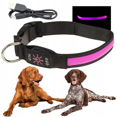 Obroża spacerowa dla psa LED świecąca w ciemności ładowana usb L 38-50cm