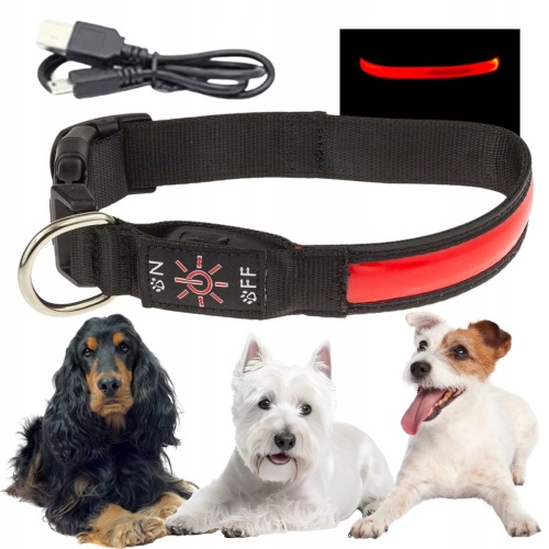 Obroża spacerowa dla psa LED świecąca w ciemności ładowana usb M 32-40cm