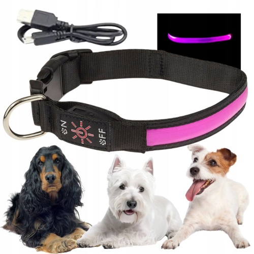 Obroża spacerowa dla psa LED świecąca w ciemności ładowana usb M 32-40cm