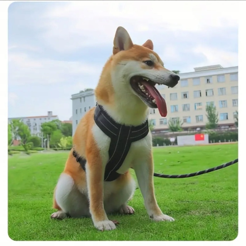 06bbb47ae0c2509a8f3e8cc8dc73ba6d