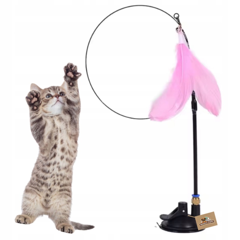 5770a78e10feb2e35740e206a715df1a