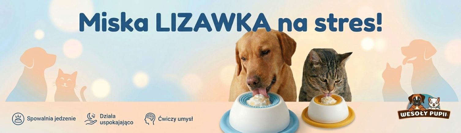 Lizawka na stres WesolyPupil.pl